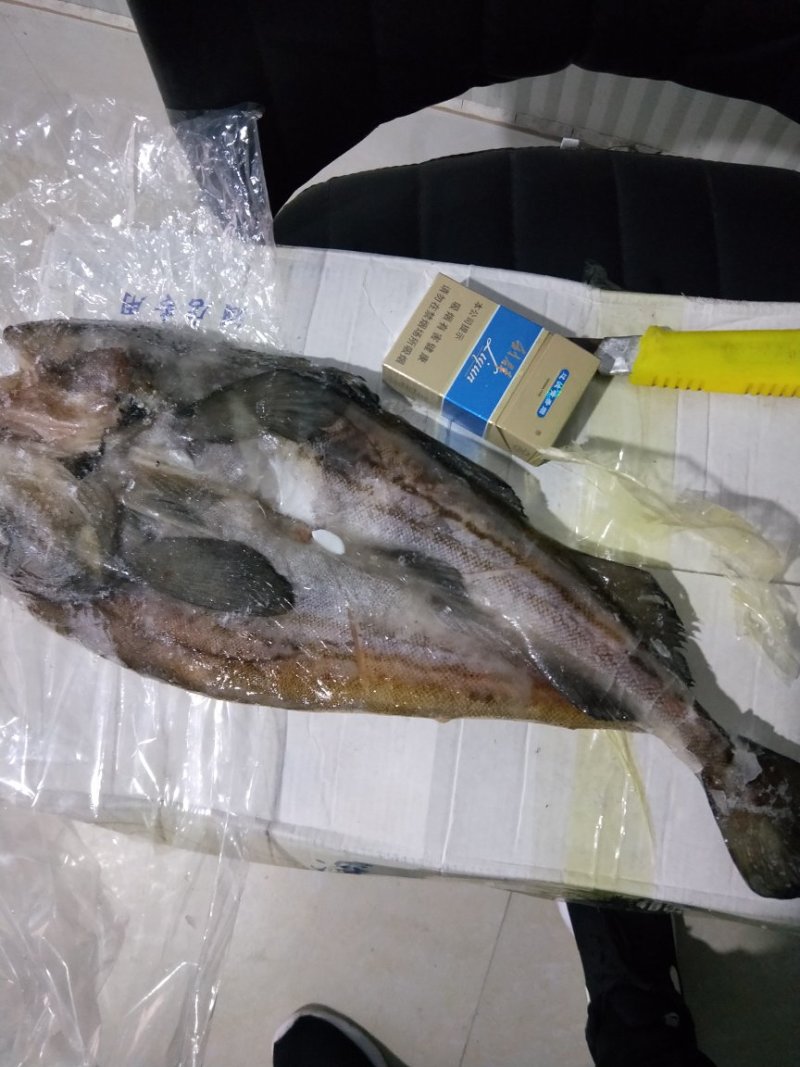 开背鱼，深海鳕鱼