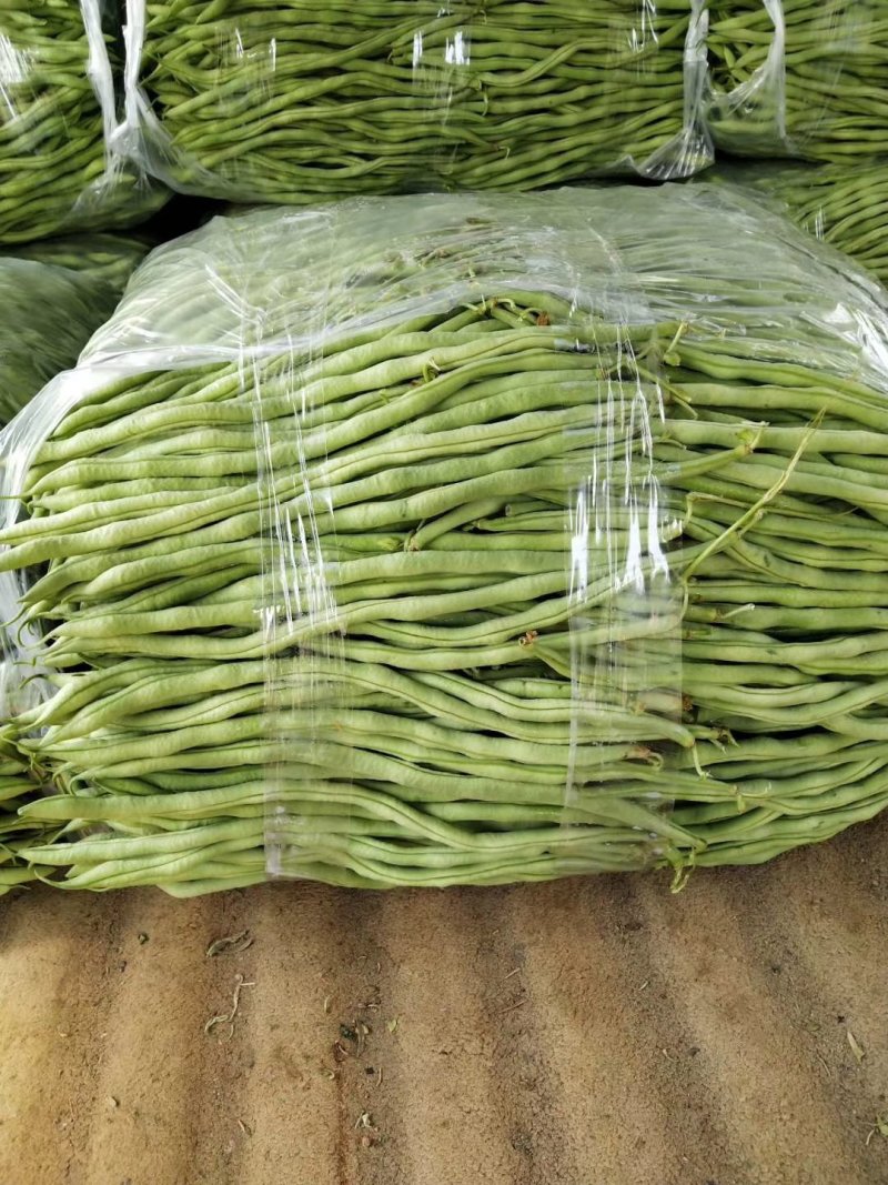 刚刚上市的豆角架豆王豆角20厘米以上