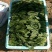 精品菠菜大量上市价格便宜质量保证有要的速联系