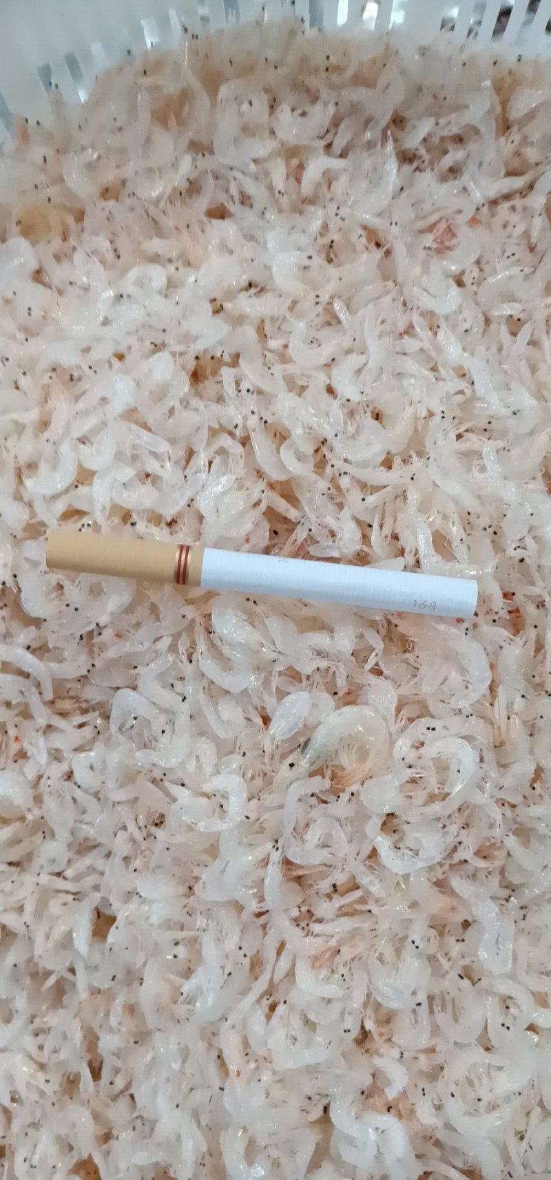 虾皮一级二级三级虾皮盒装