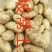陕北榆林土豆大量上市