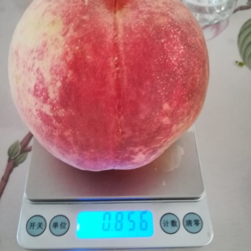 金秋红蜜桃
