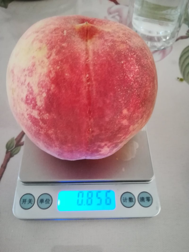 金秋红蜜桃
