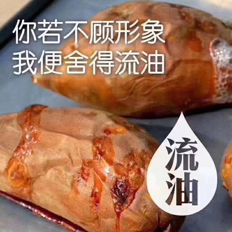烟薯25，哈密，紫薯！电商&烤薯店长期稳定供！烟薯