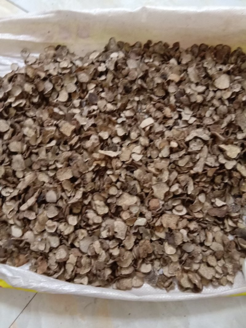 野生黑松露干片，一干元三斤，