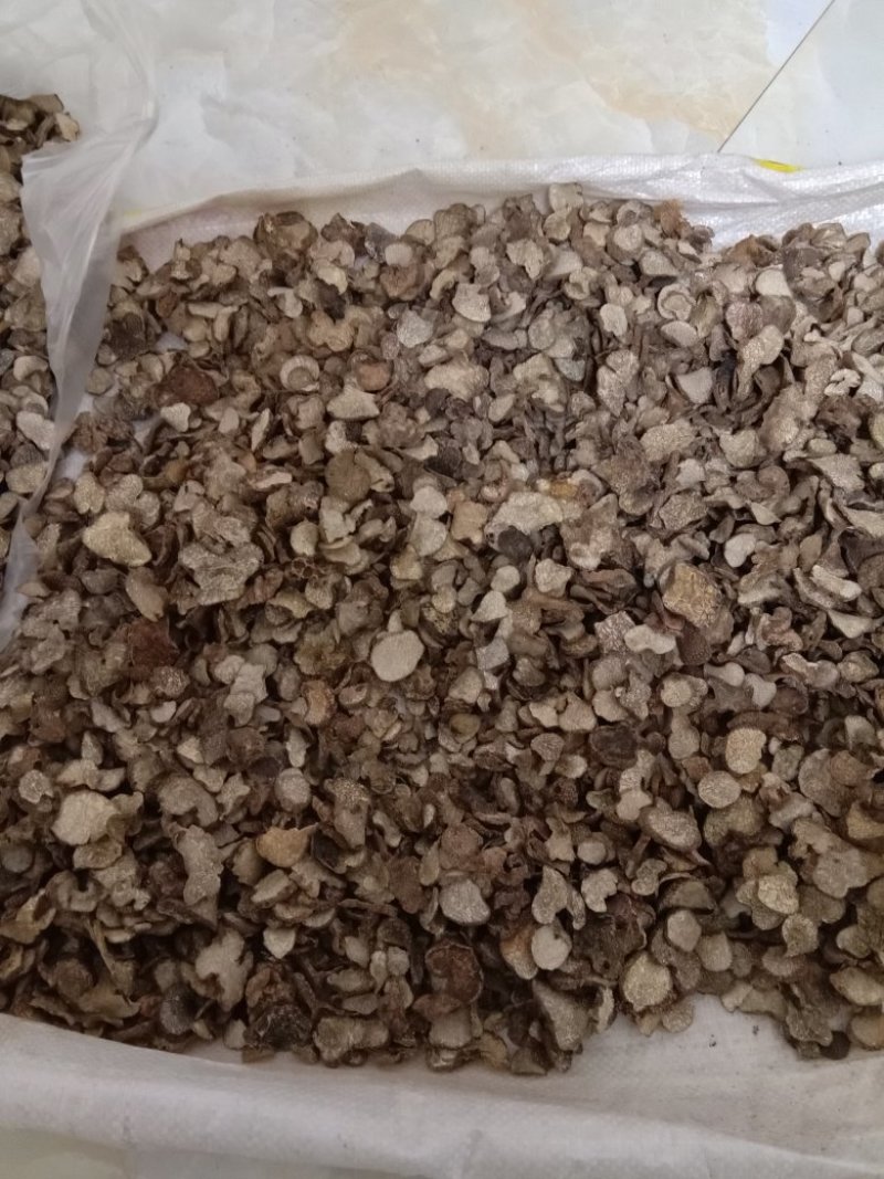 野生黑松露干片，一干元三斤，