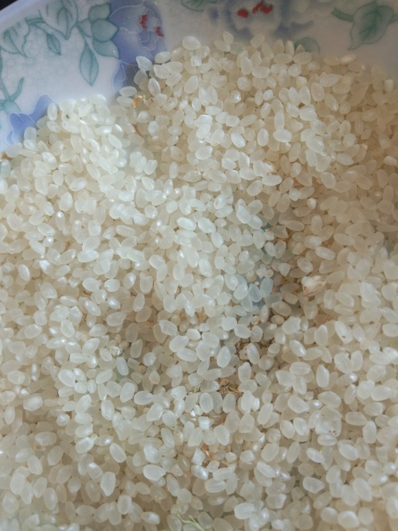 鲜稻谷