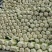 其它辽宁新民大白菜，大面积上市了，物美价廉。