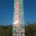 香香樟桂花地经2公分，高度22米樟桂花树出售香樟