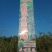 香香樟桂花地经2公分，高度22米樟桂花树出售香樟