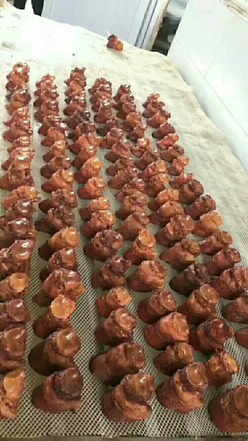 驴肉河间曹氏驴肉保真保纯