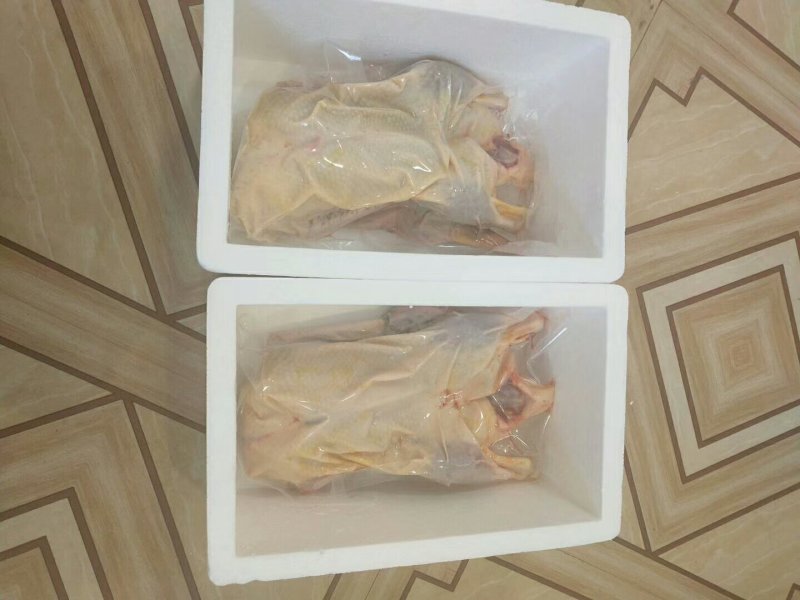 清水鸭