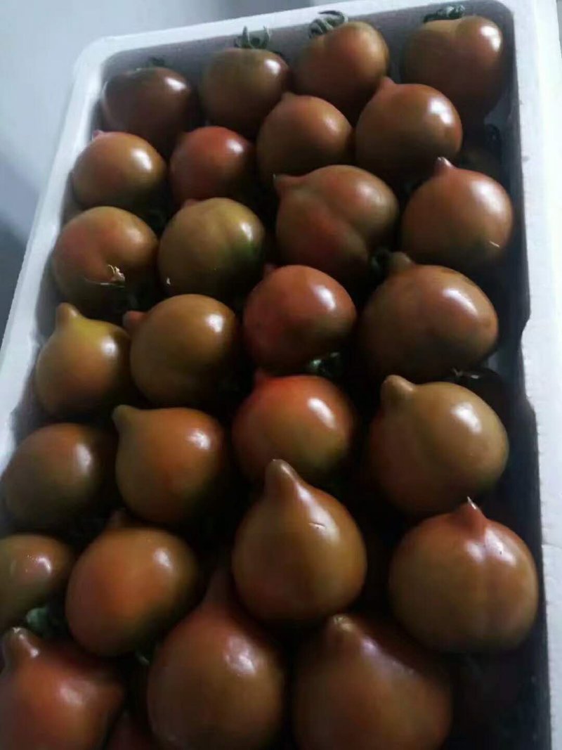 精品圣女果，各种小柿子