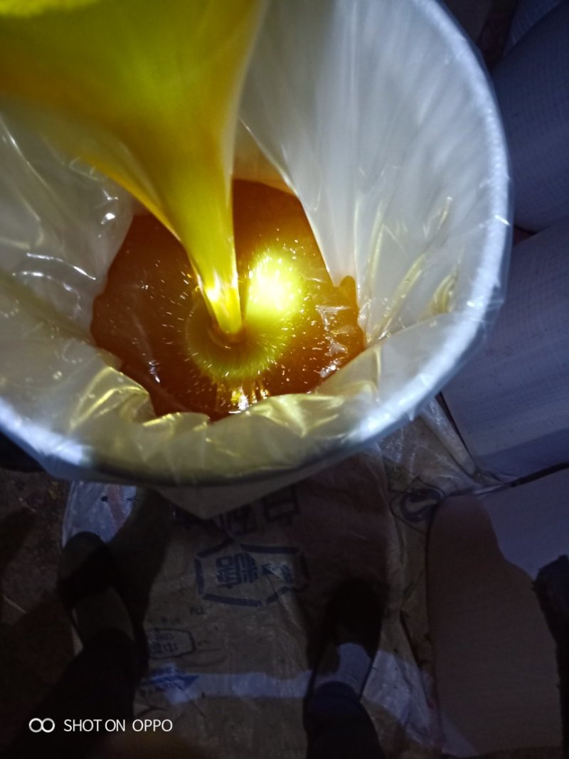 新疆伊犁库尔德宁大草原高加索黑蜂蜂蜜
