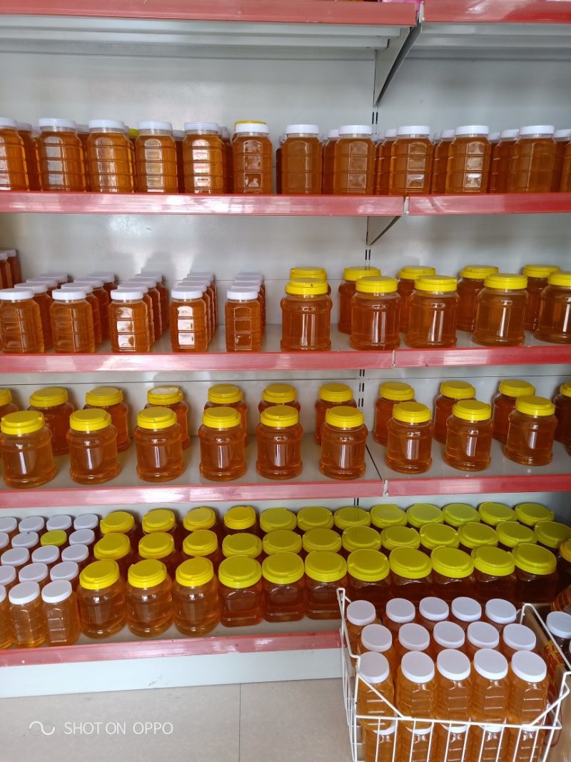 新疆伊犁库尔德宁大草原高加索黑蜂蜂蜜