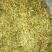 自然风干金银花