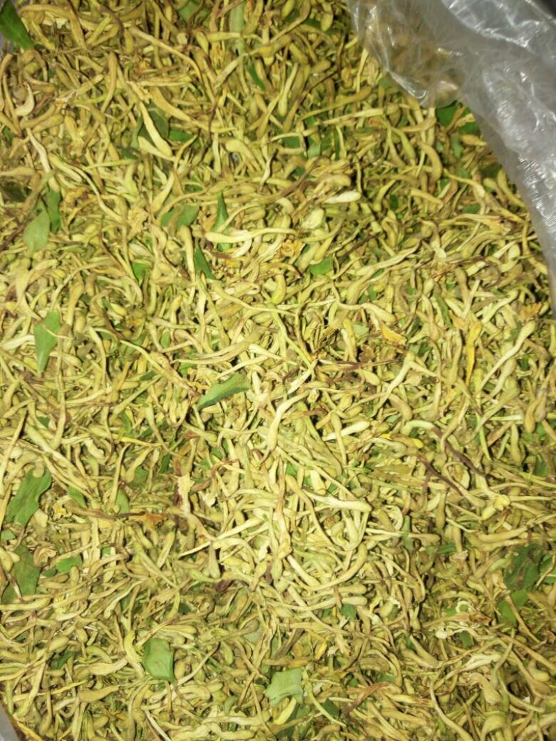 自然风干金银花
