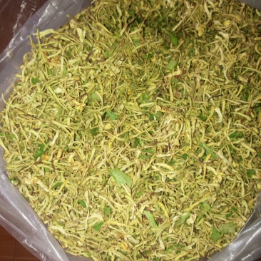 自然风干金银花