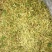 自然风干金银花