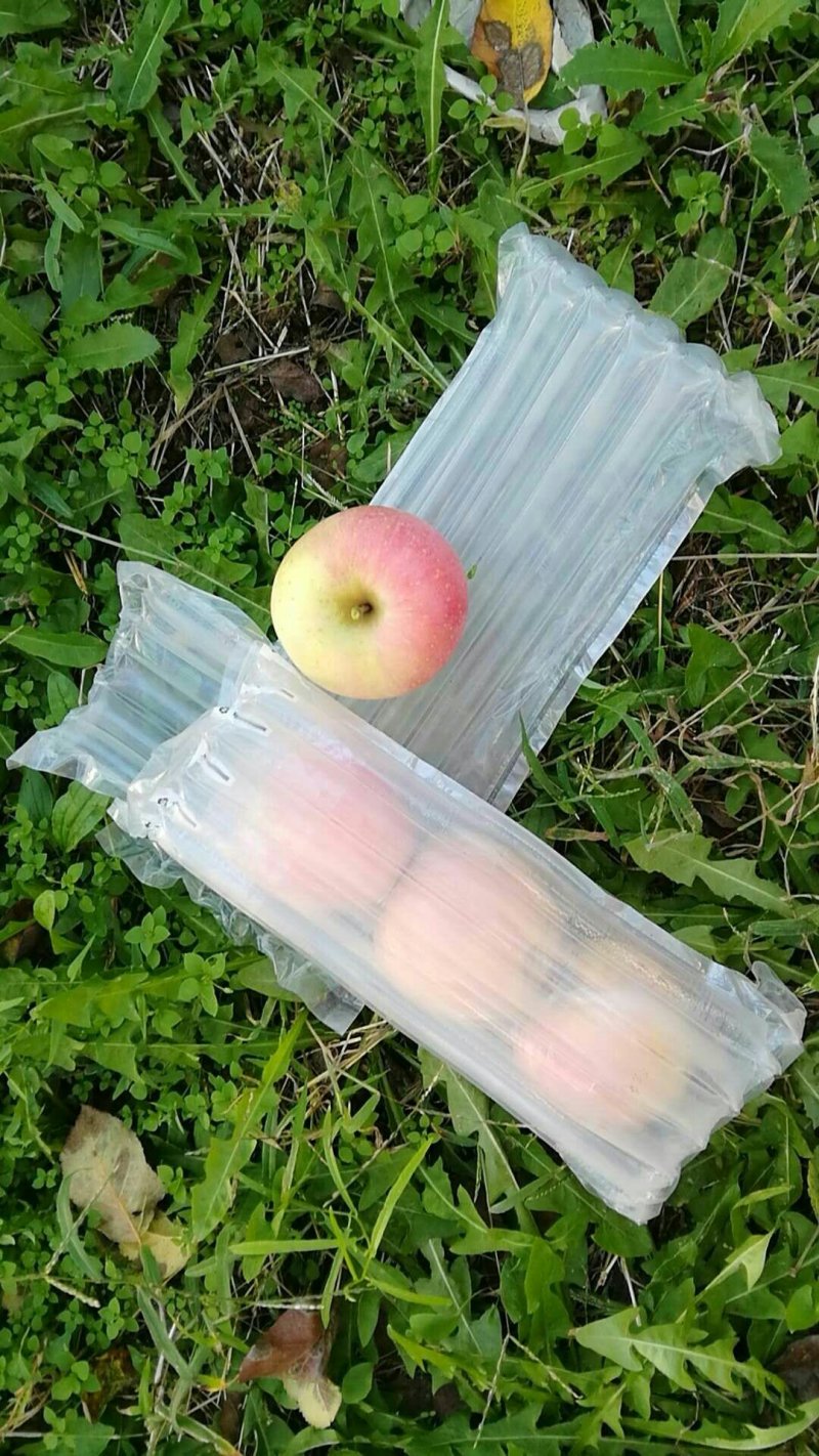 苹果