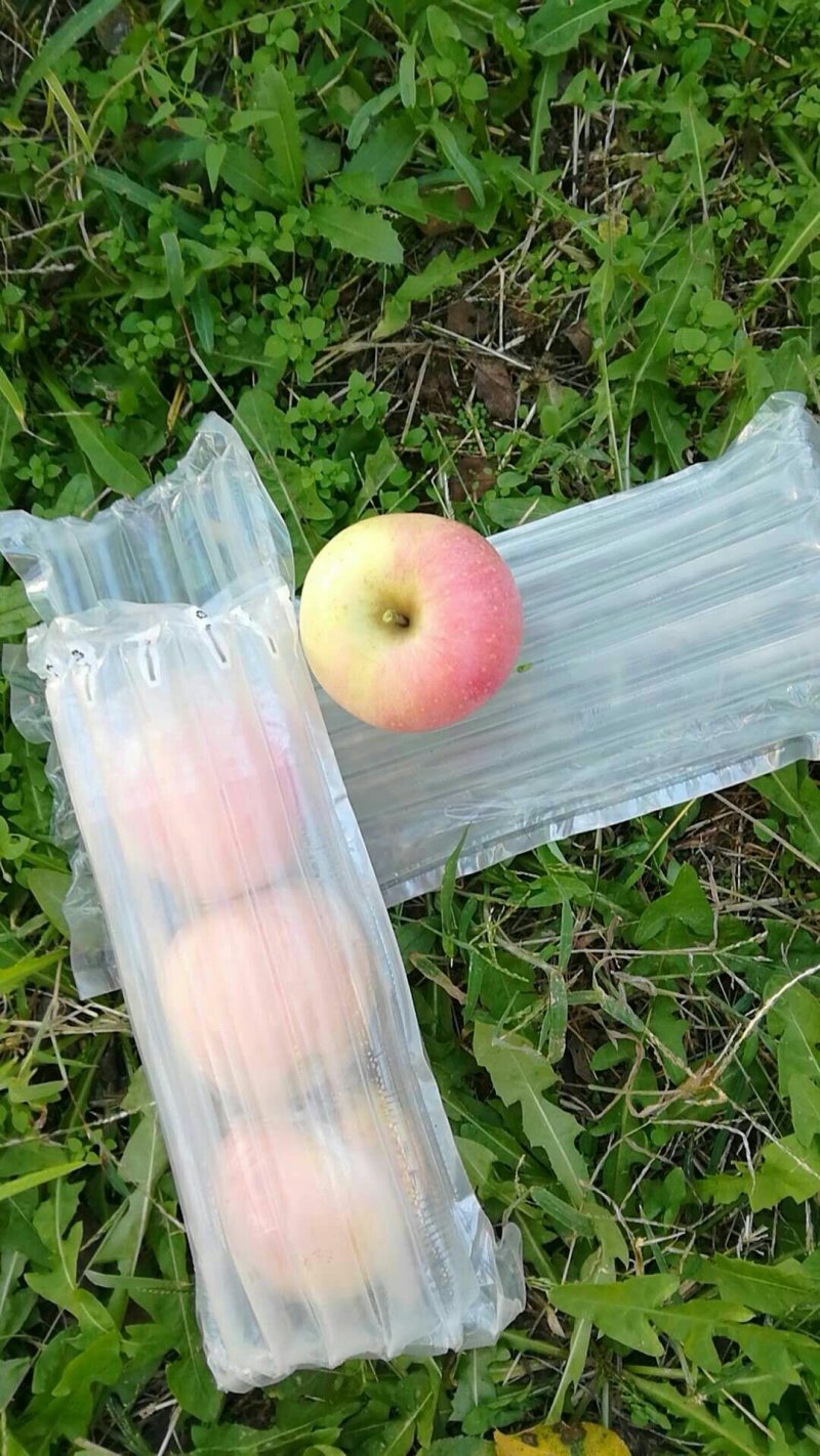苹果