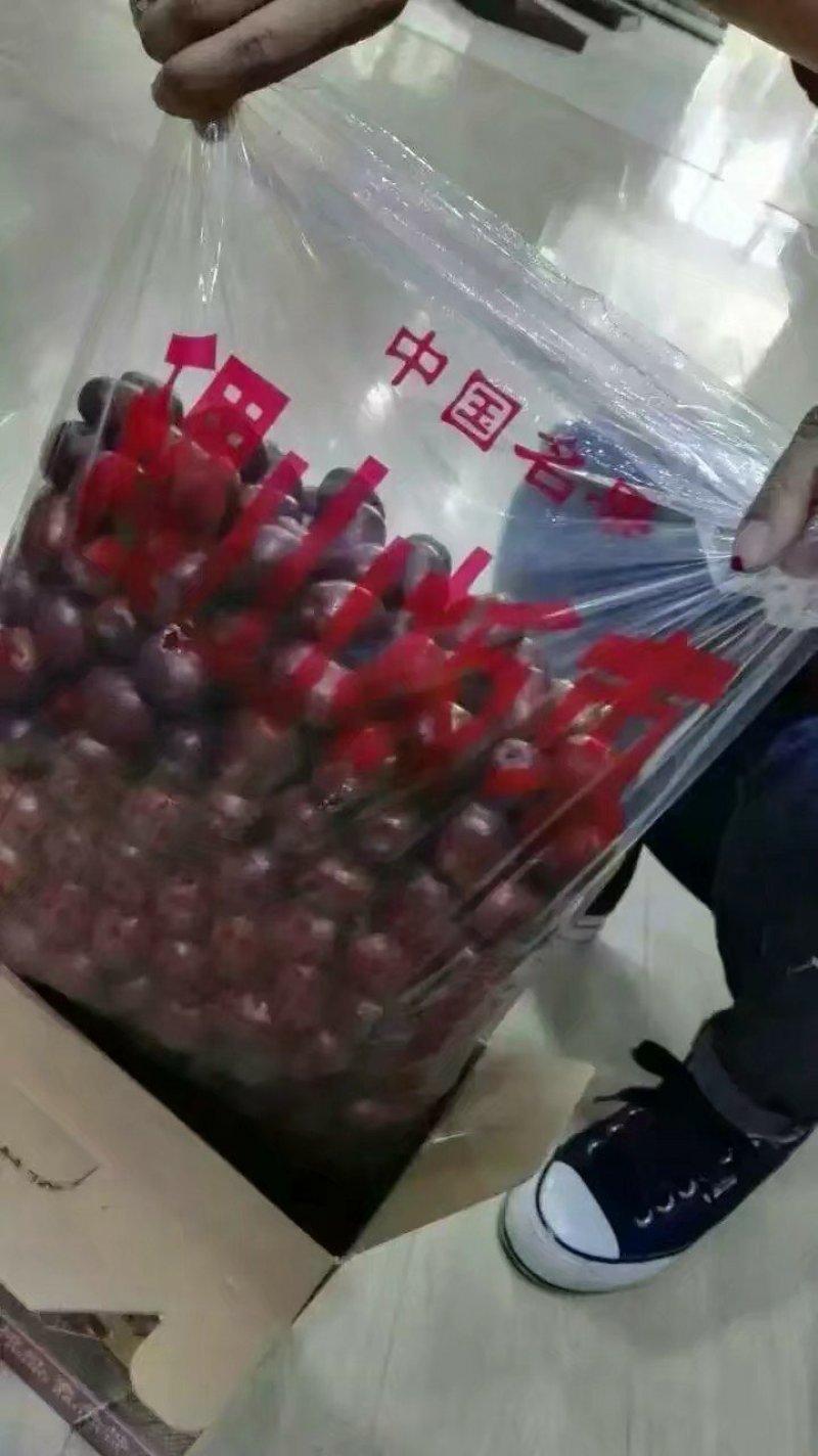 稷山板枣