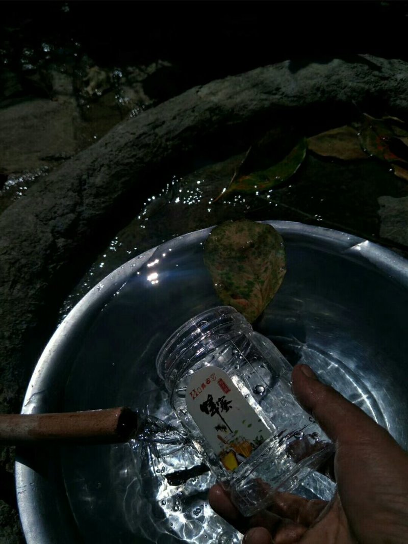 纯天然大山中蜂蜂蜜