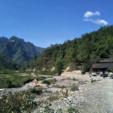 纯天然大山中蜂蜂蜜