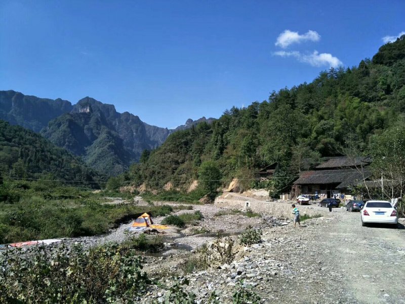 纯天然大山中蜂蜂蜜