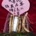 长白山黑木耳，野生木耳。