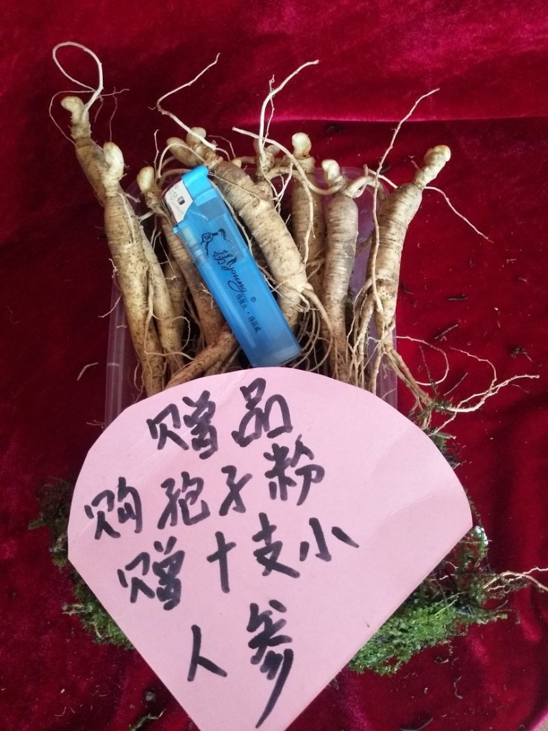 长白山灵芝孢子粉