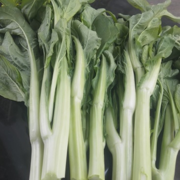 菜心