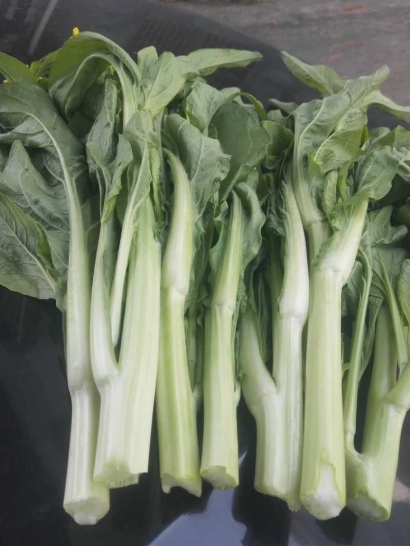 菜心