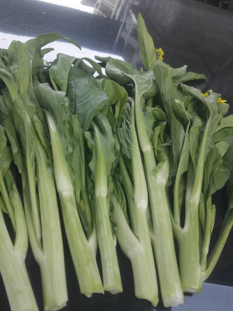 菜心