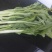 菜心