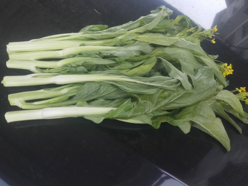 菜心