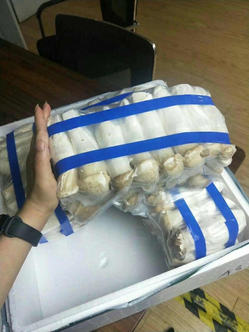 杏鲍菇