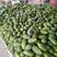 木瓜大青水果木瓜产地种植了100多亩，质优价廉