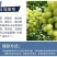 阳光玫瑰葡萄树苗