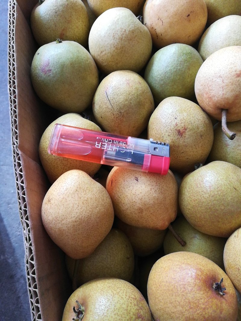 开原强子尖把梨