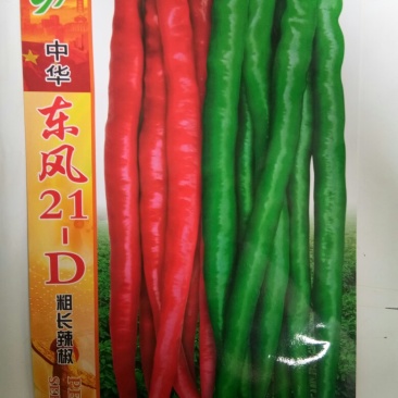薄皮杂交长线椒种子青椒翠绿色红椒鲜红色（东风21_D）