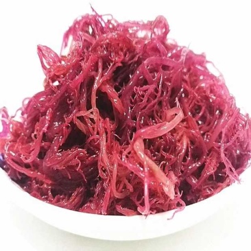 农家直供紫晶藻紫藻5斤装包邮