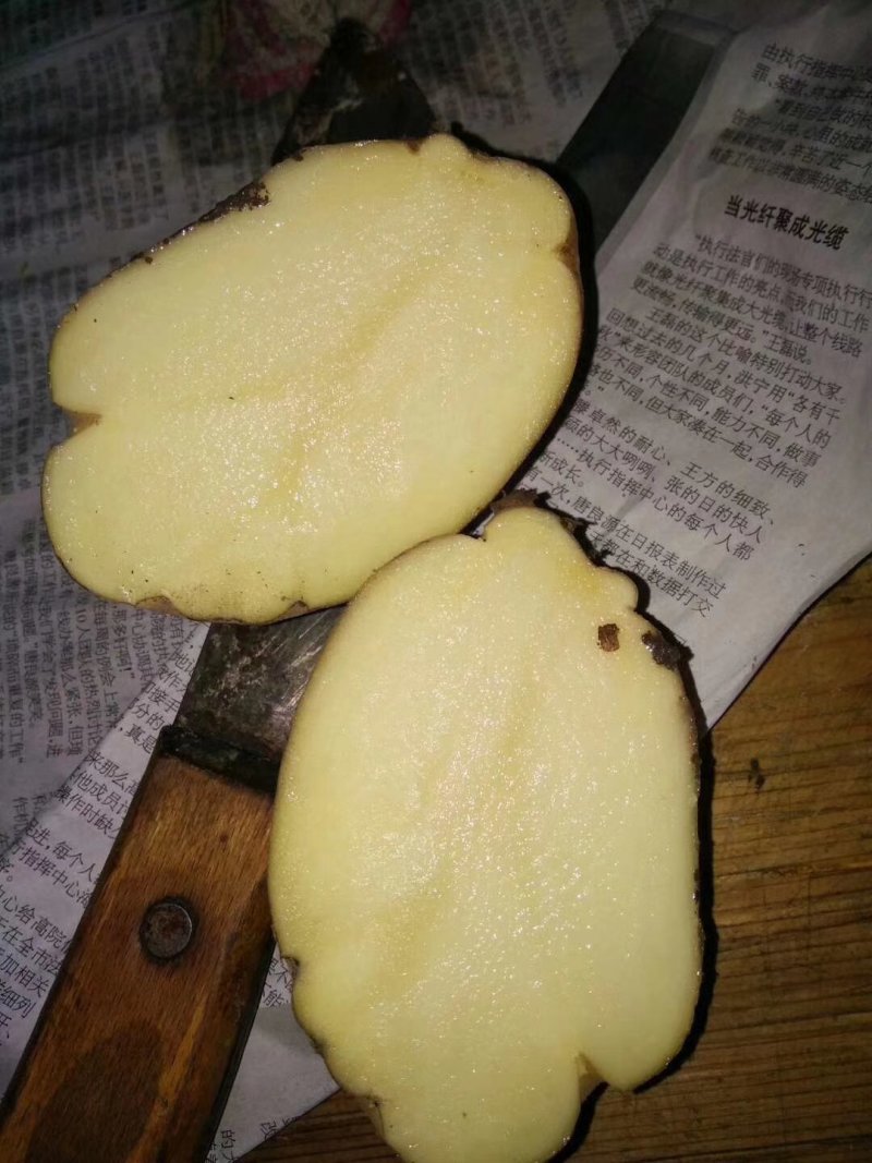 土豆，洋芋，马铃薯，土豆，土豆土豆土豆土豆