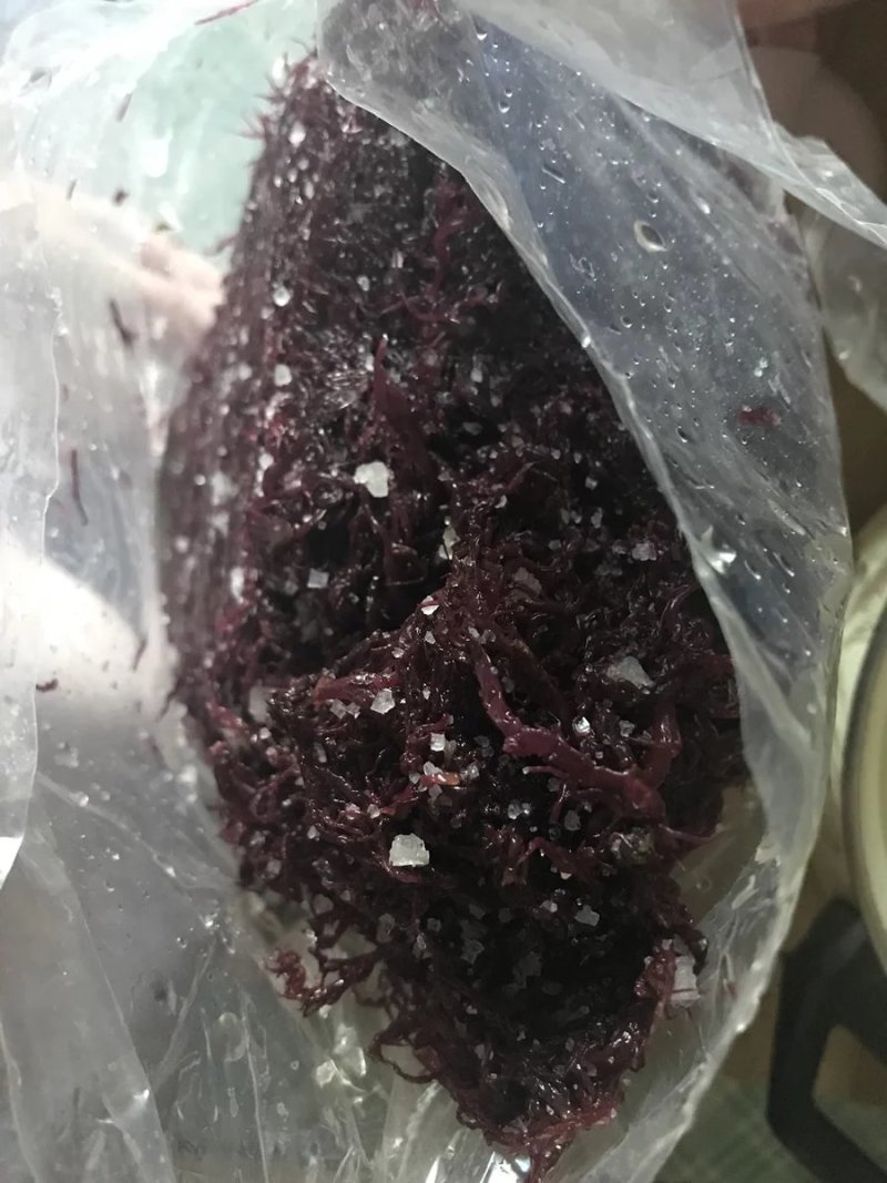 农家直供紫晶藻紫藻5斤装包邮