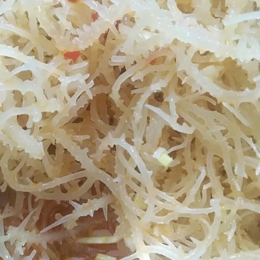 农户直供龙须菜干货500g包邮