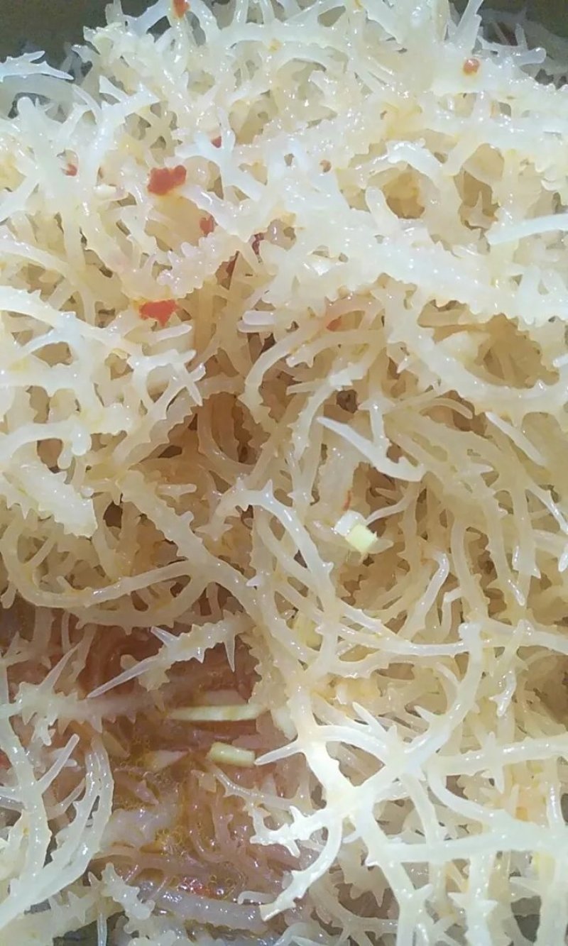农户直供龙须菜干货500g包邮