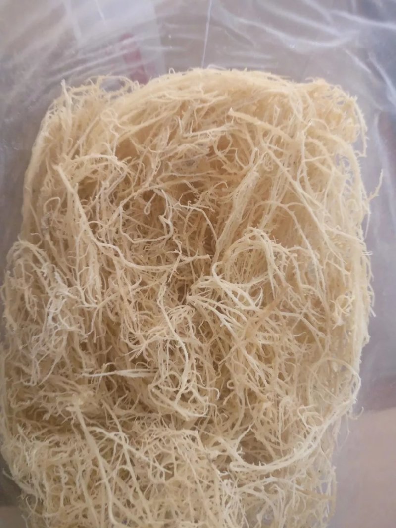 农户直供龙须菜干货500g包邮