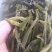 农户直供海白菜裙带梗5斤包邮