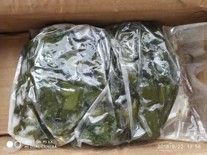 农户直供海白菜裙带梗5斤包邮