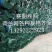 荷兰网铁丝网围栏栅栏户外养殖网养鸡网围墙护栏钢丝网防护网